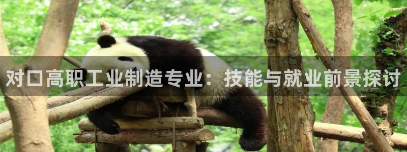 星欧娱乐号7o777