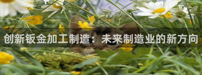 欧星娱乐视频