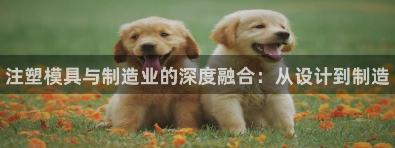 星欧娱乐官网免费下载