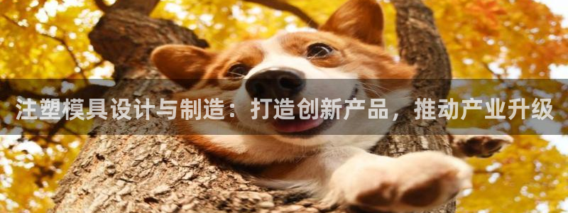 星欧娱乐平台是否靠谱