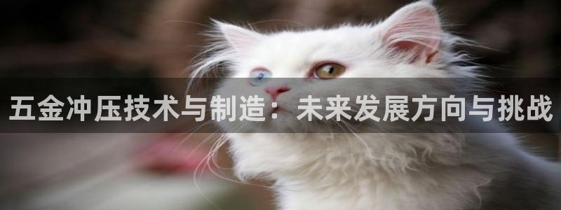 星欧娱乐平台app下载