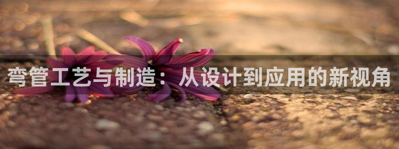 金欧岗星熠娱乐