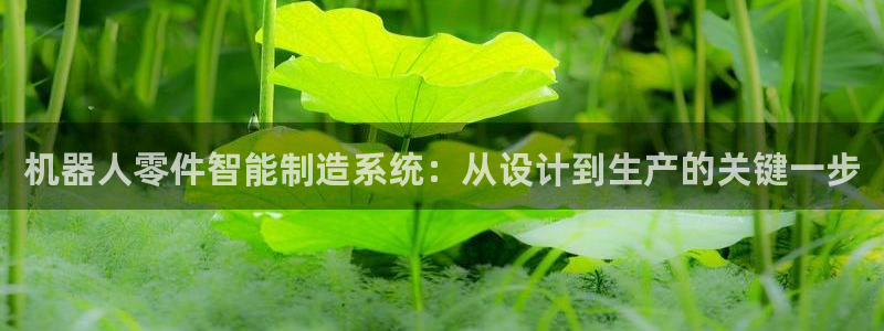 星欧娱乐最新活动