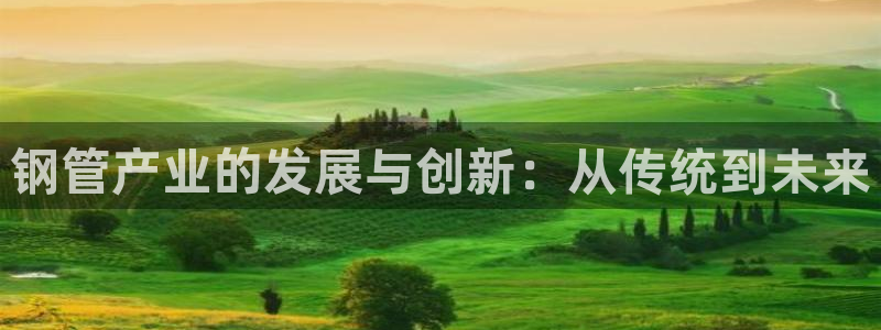 星欧娱乐最新版下载链接