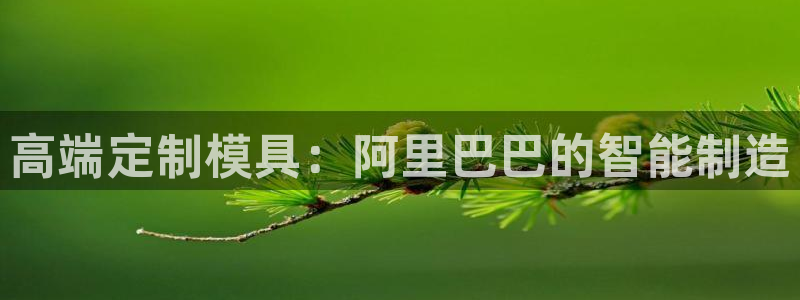 星辉娱乐进入欧联杯