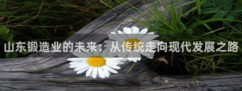 星欧娱乐旗下艺人名单