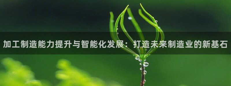 七星娱乐欧包