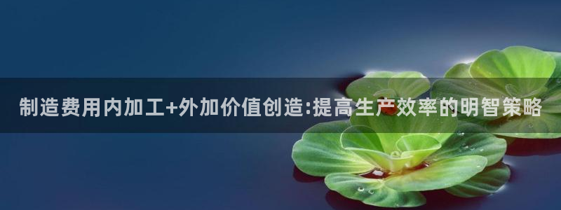 星欧娱乐注册资金多少
