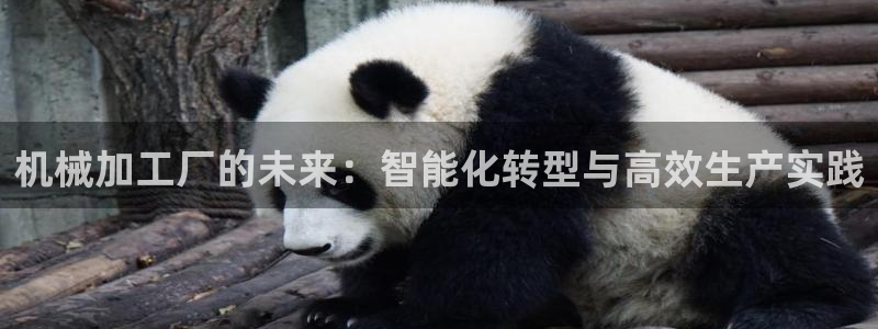 星欧娱乐挂机