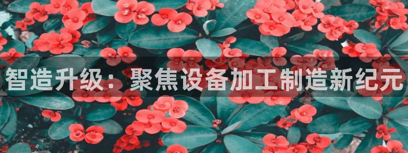 星欧娱乐用户名和密码