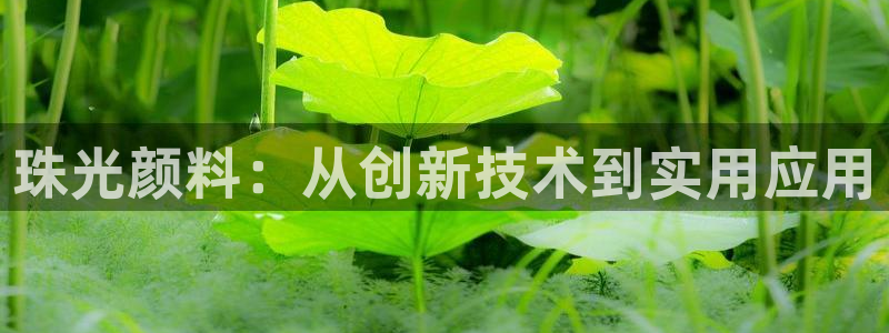 星欧平台娱乐注册的方式