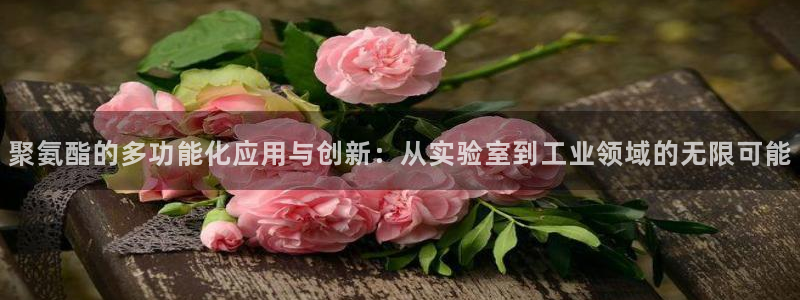 欧星科技娱乐公司