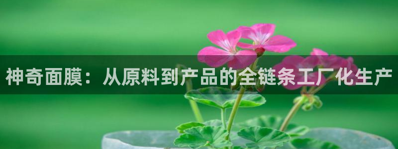 星欧娱乐注册资金多少