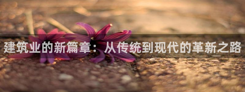 星欧娱乐的官方网站