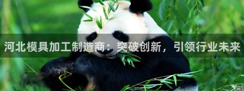 星欧娱乐是正规平台吗
