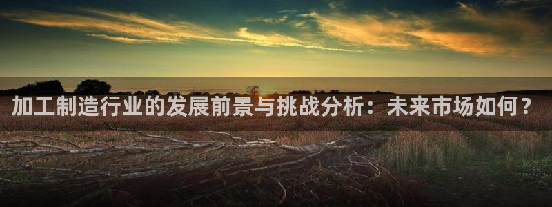 星欧娱乐的创始人背景