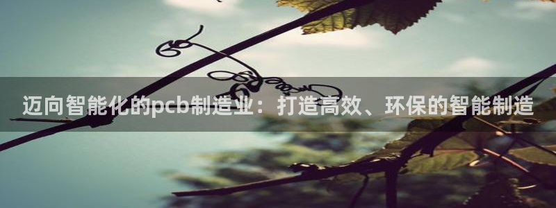欧星娱乐pt