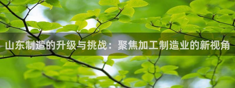 欧星娱乐足彩