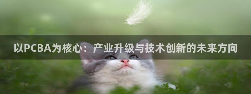 小西门欧乐星城娱乐项目
