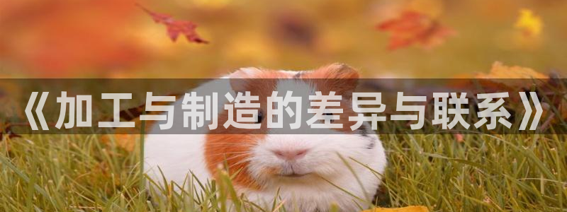 欧星在线娱乐下载安装