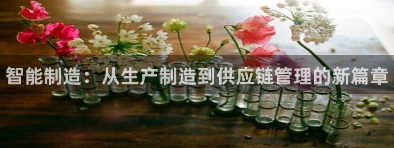 欧星娱乐电竞