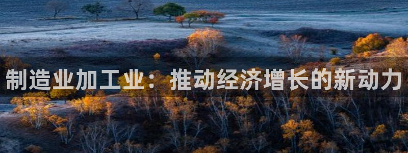 星欧娱乐银行卡怎么登录