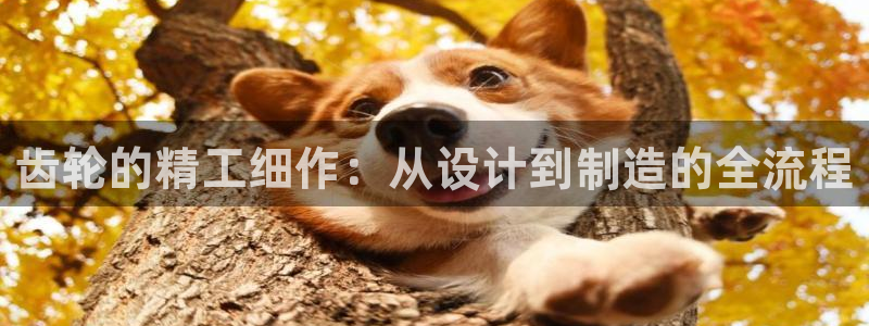 欧星娱乐主播