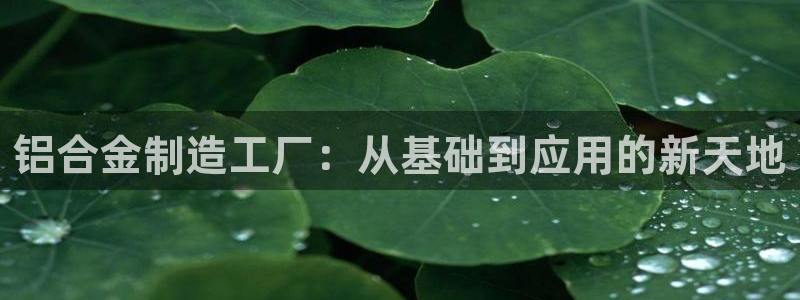 星欧娱乐下载