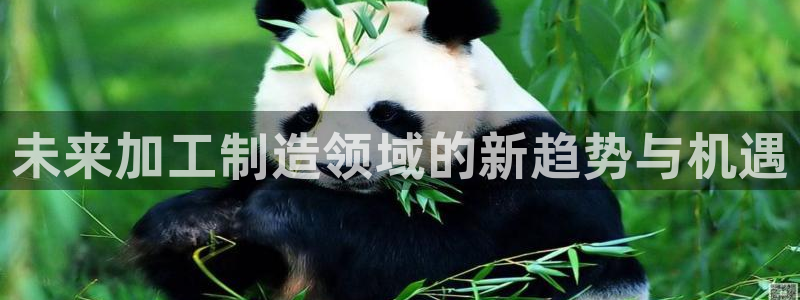 七星娱乐欧尼酱