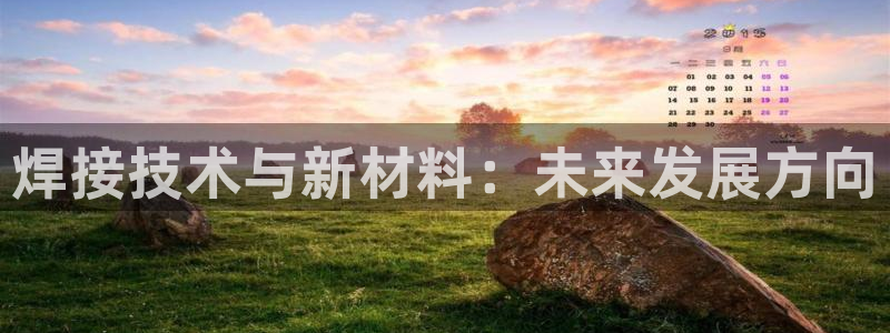 星欧娱乐公司老板背景