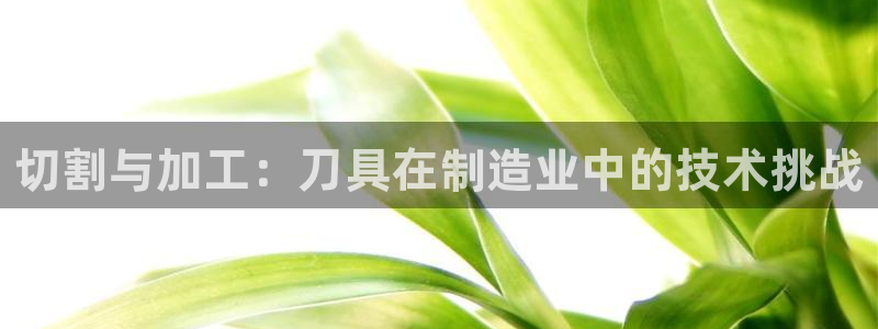 星欧娱乐下载官网