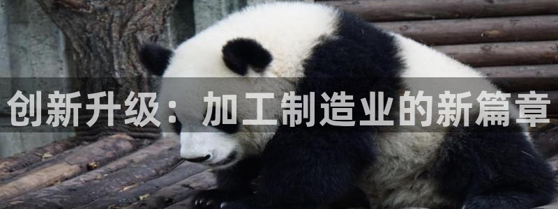 星欧娱乐最新版下载链接