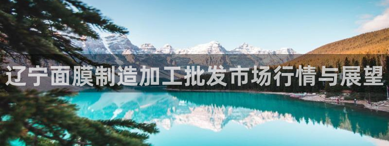 星辉娱乐进入欧连杯