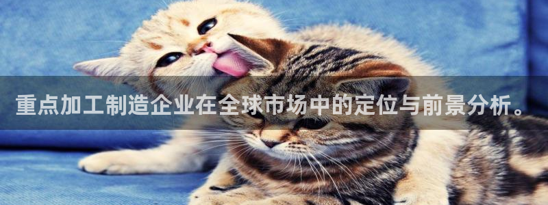 星欧娱乐最近怎么了