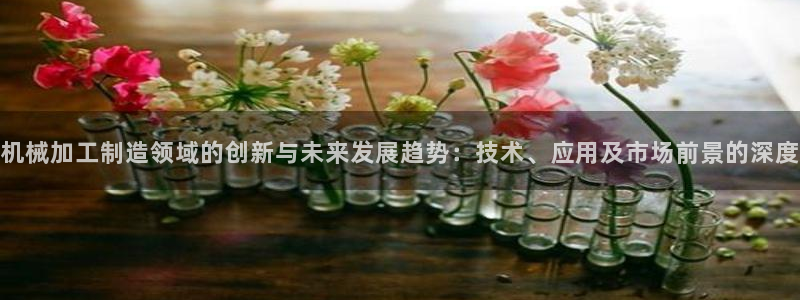 匠星娱乐政f下跪欧普软件园