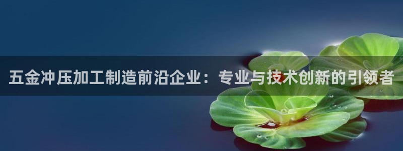 金欧岗星熠娱乐