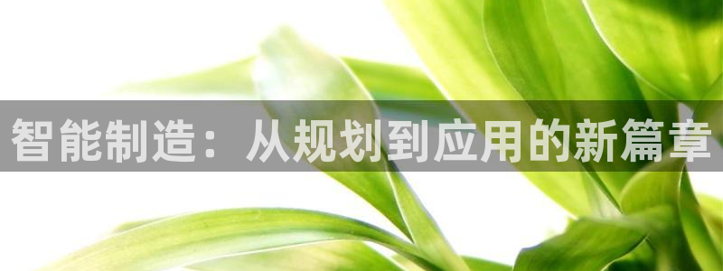 欧星娱乐08