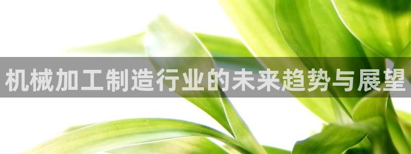 娱乐星天地马思纯欧豪