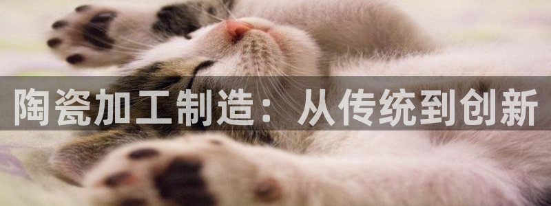 欧星娱乐公司