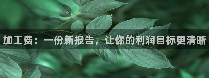欧星娱乐网址无脑赚