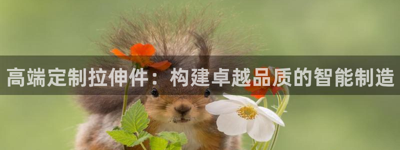 星欧娱乐下载最新版