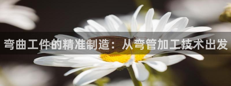 欧星娱乐竞技