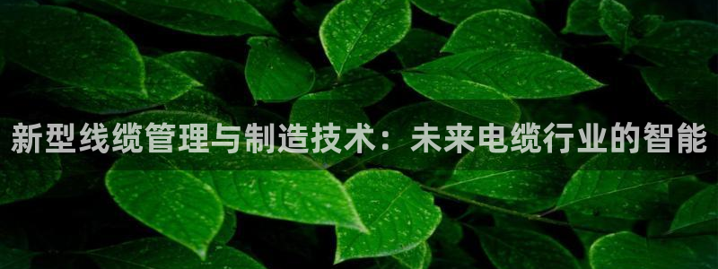 欧豪娱乐星天地采访