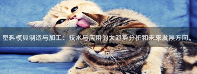 匠星娱乐政f下跪欧普软件园
