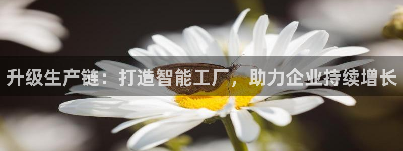 星欧娱乐是什么平台