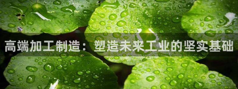 星欧娱乐登录网页版登录