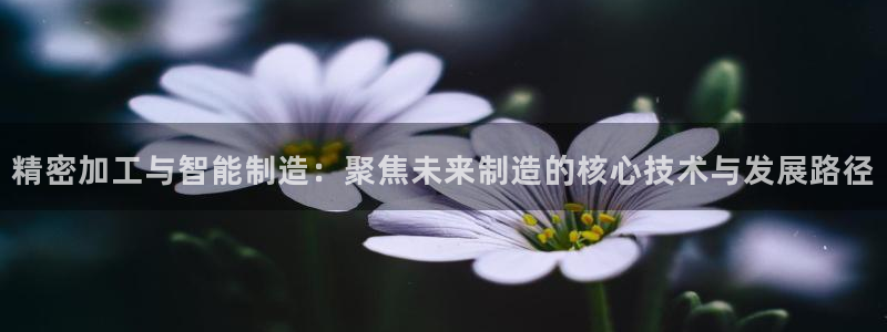星欧娱乐最新版下载链接