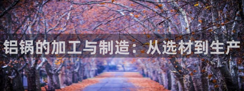 星欧娱乐负责人