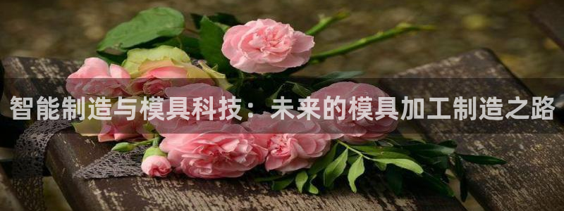 星欧娱乐官网入口手机版