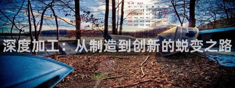星欧娱乐扣钱步骤详解